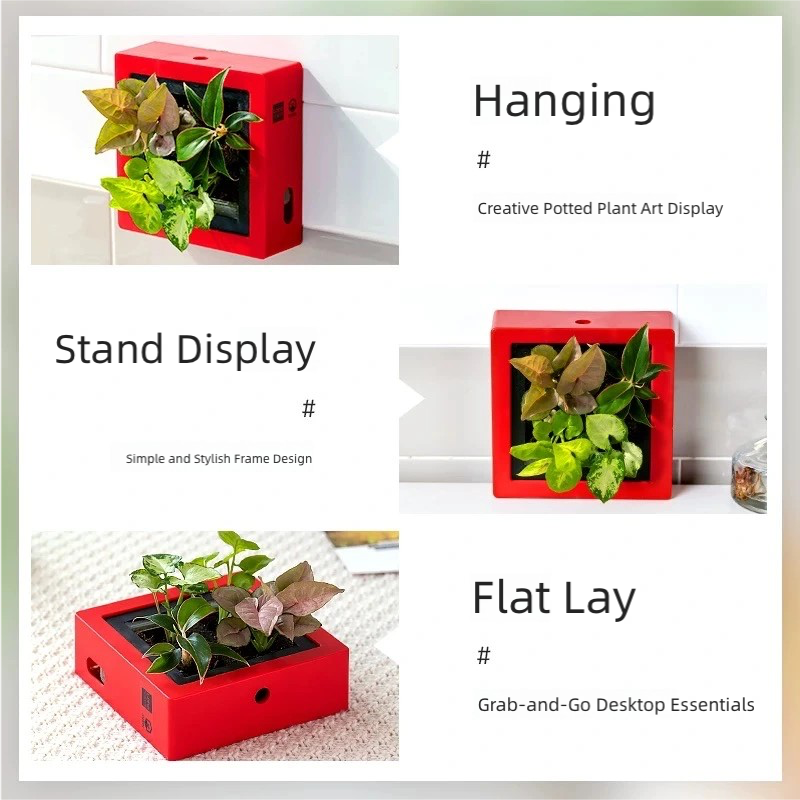 DIY Self-Watering Plant Photo Frame Planter | Creative Memory Plant Pot Home Decor