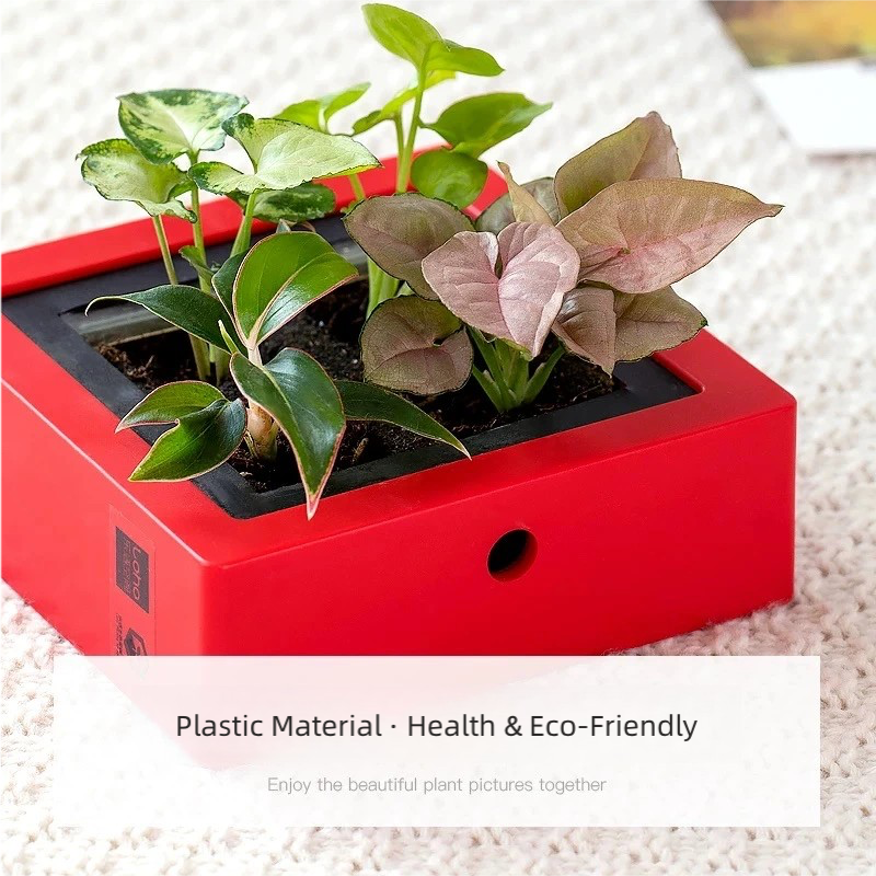 DIY Self-Watering Plant Photo Frame Planter | Creative Memory Plant Pot Home Decor