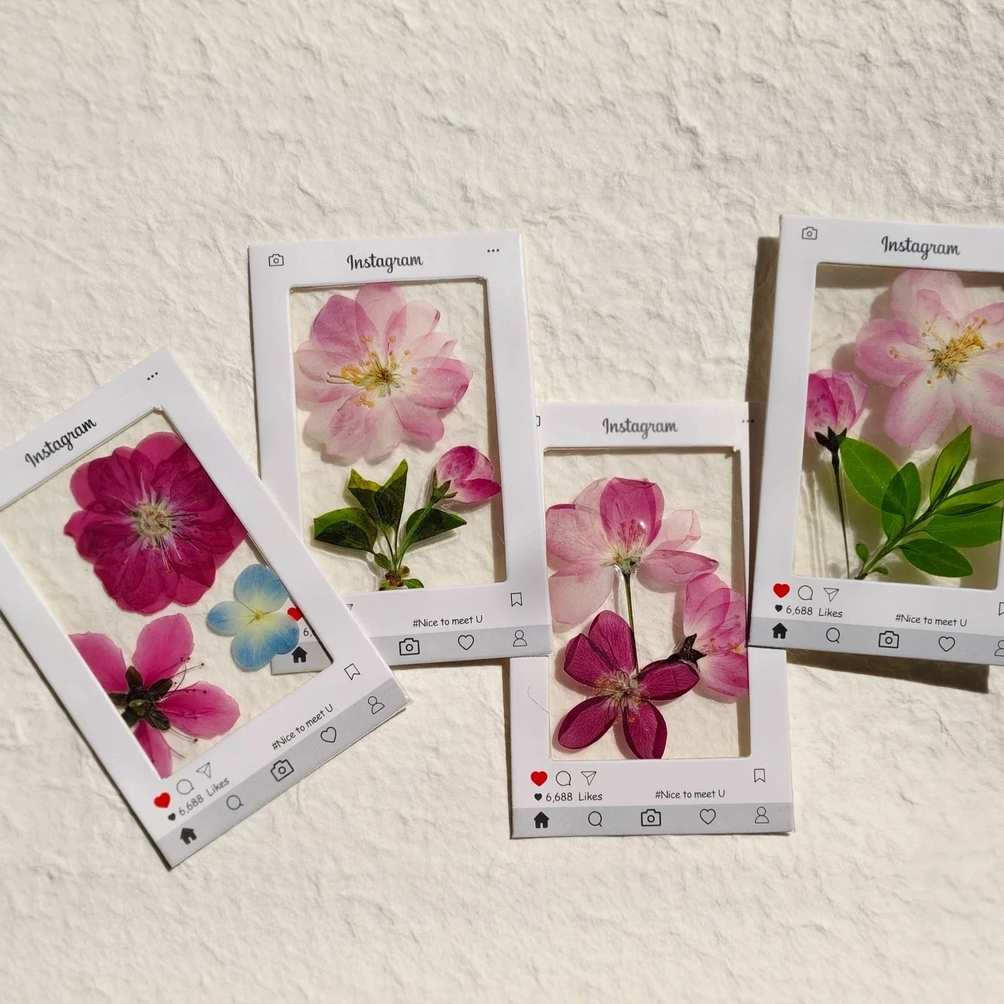 DIY Fresh Flower Specimen Picture Frame Kit