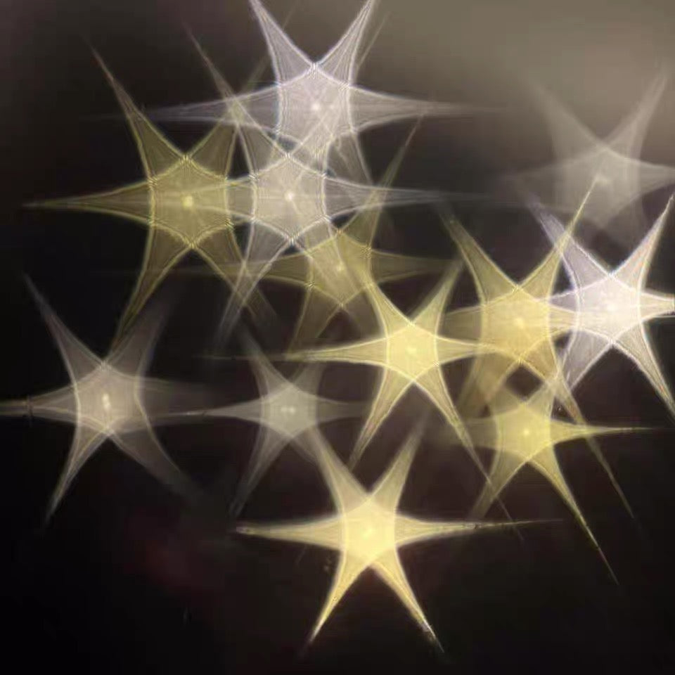 Hexagonal light film size (48cm*49cm) 3 sheets
Free String Lights