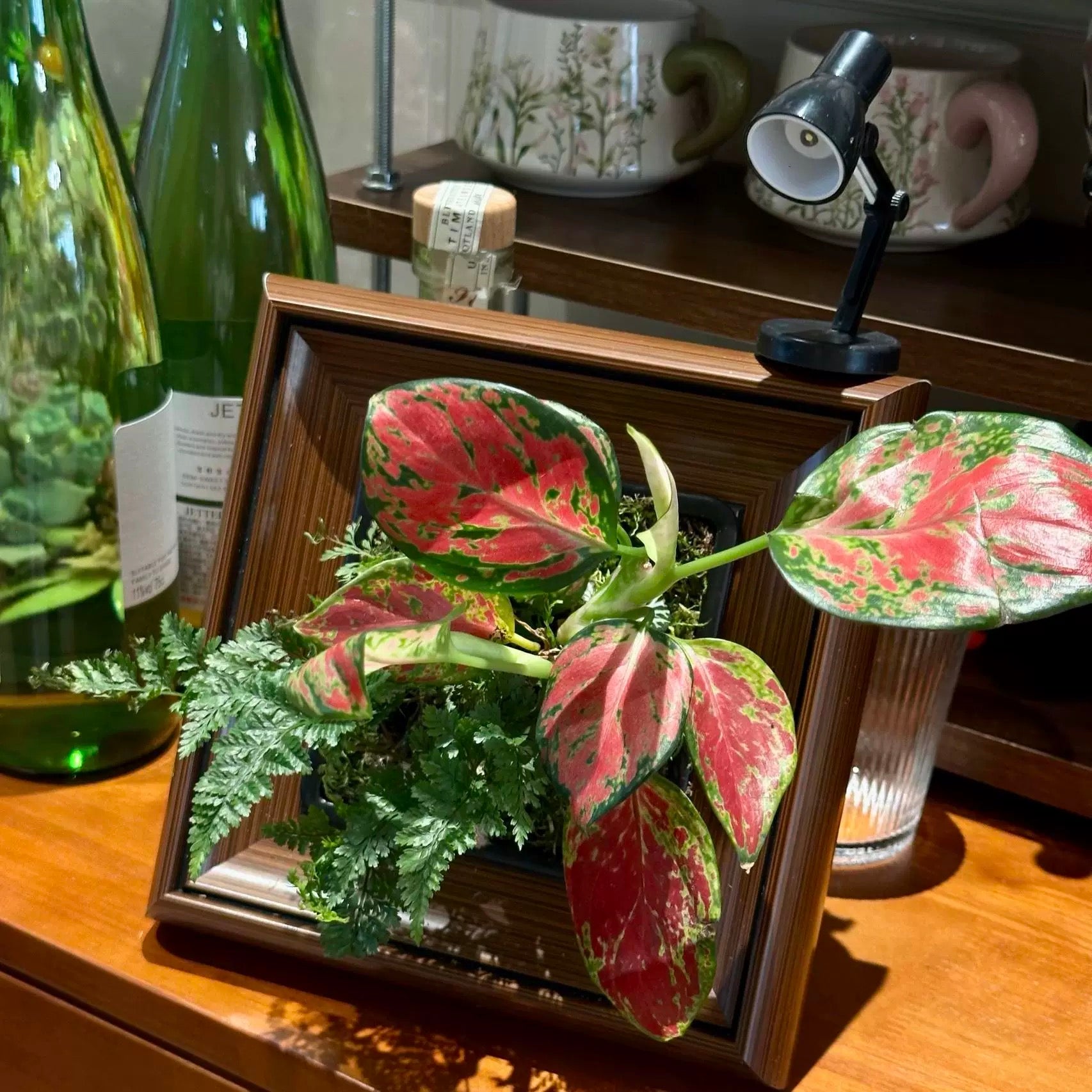 Oil Painting Picture Frame and Flower Pot with a Free Night Light