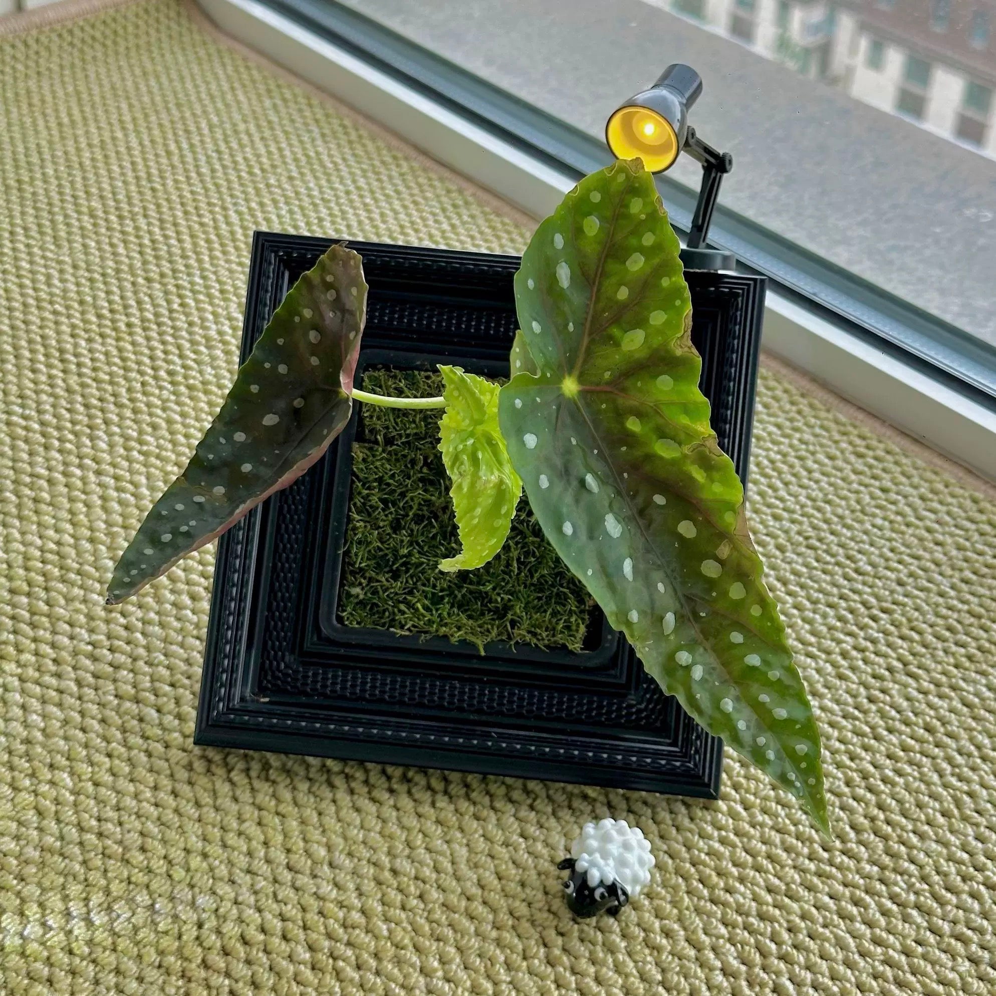 Oil Painting Picture Frame and Flower Pot with a Free Night Light