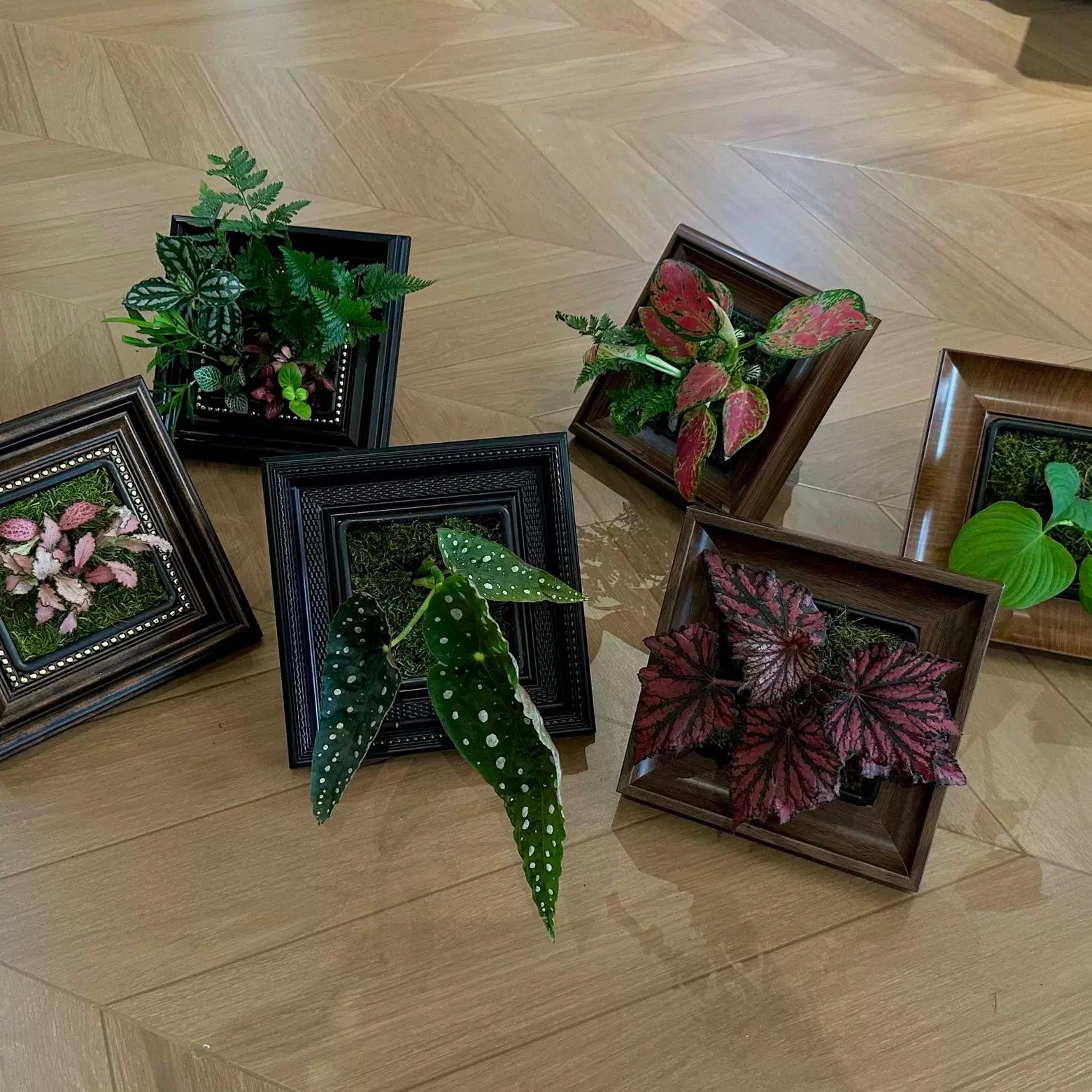 Oil Painting Picture Frame and Flower Pot with a Free Night Light