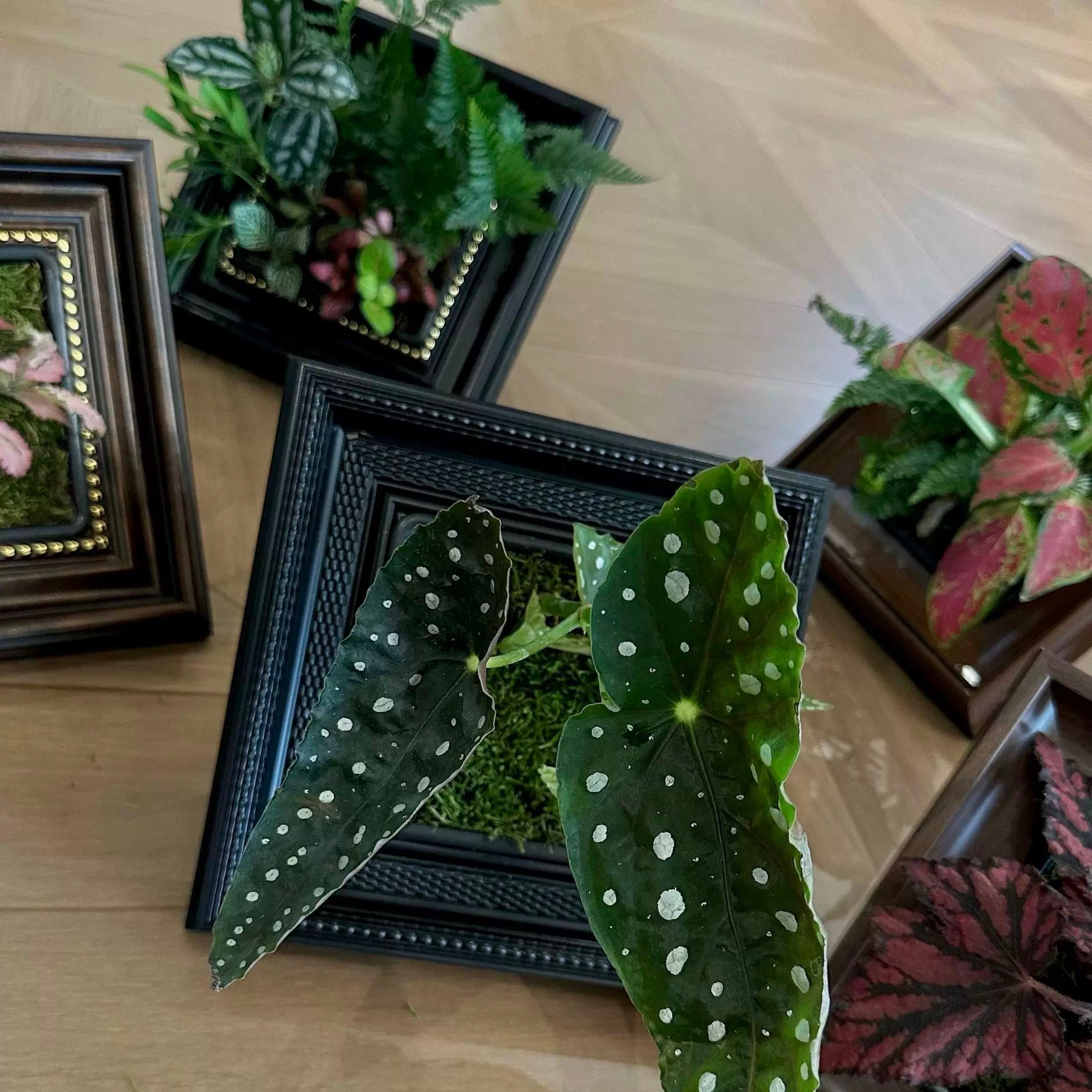 Oil Painting Picture Frame and Flower Pot with a Free Night Light