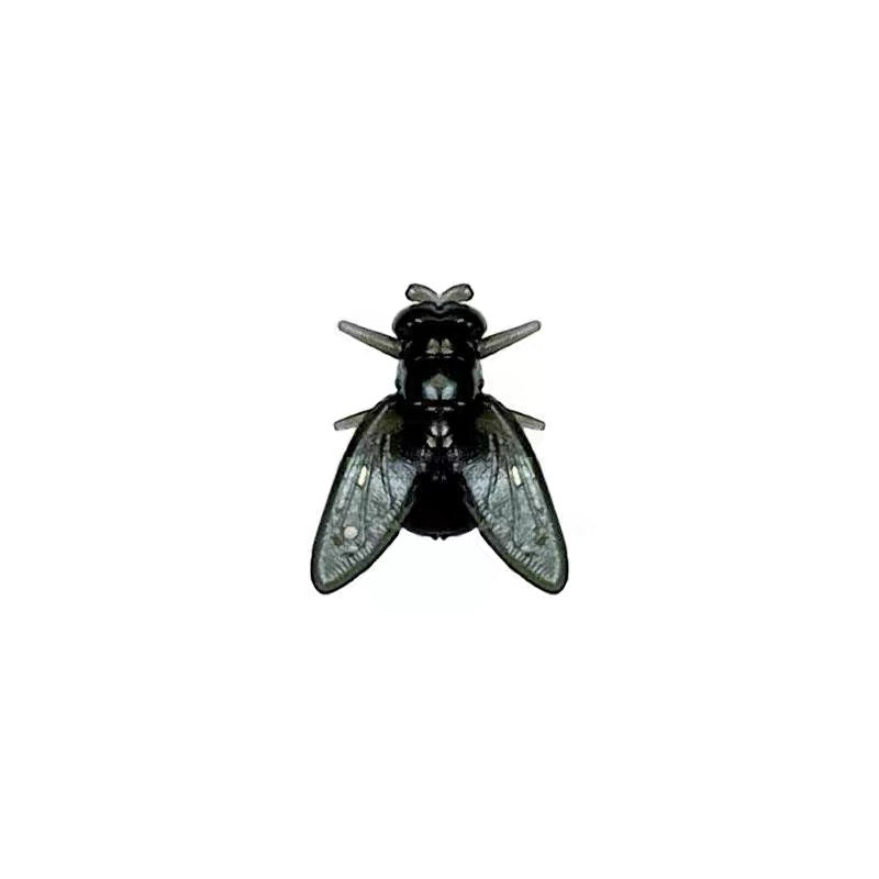 Fly Earrings (Buy One Get One Free)