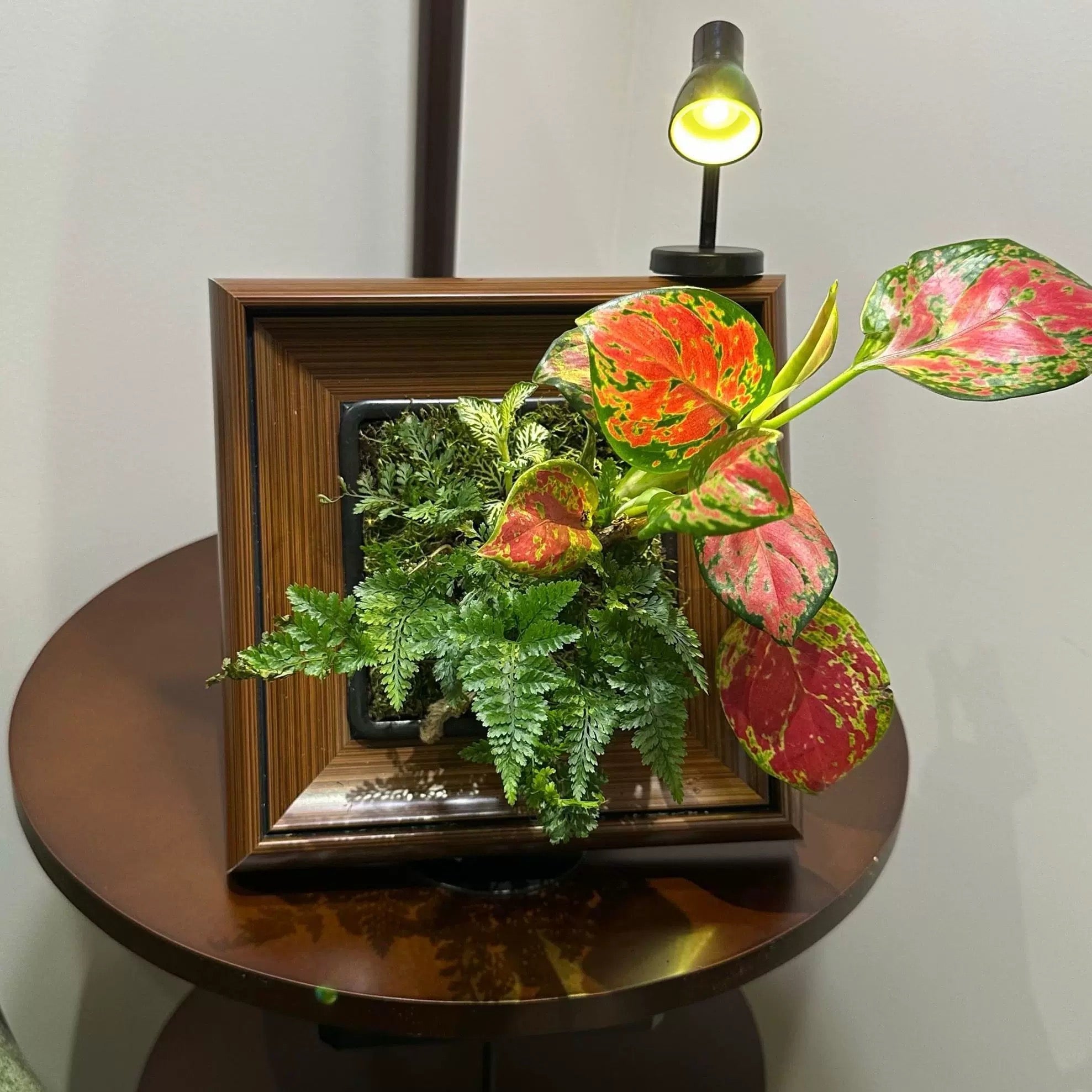 Oil Painting Picture Frame and Flower Pot with a Free Night Light