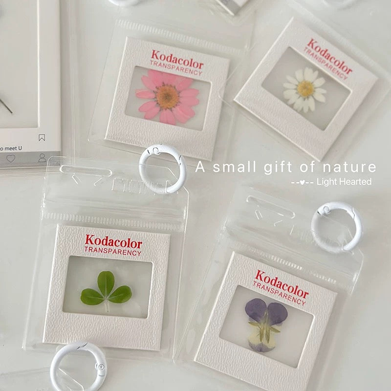 DIY Fresh Flower Specimen Picture Frame Kit