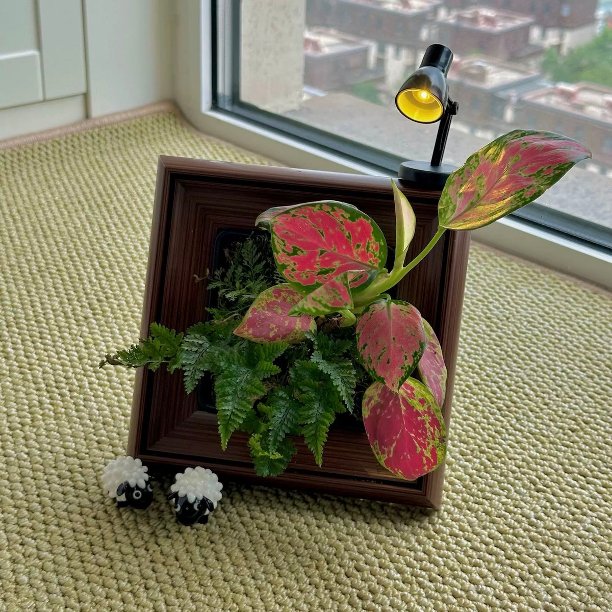 GlowFrame™ – Living Art That Lights Up Your Space（Free desk lamp）Free gift: artificial staghorn fern