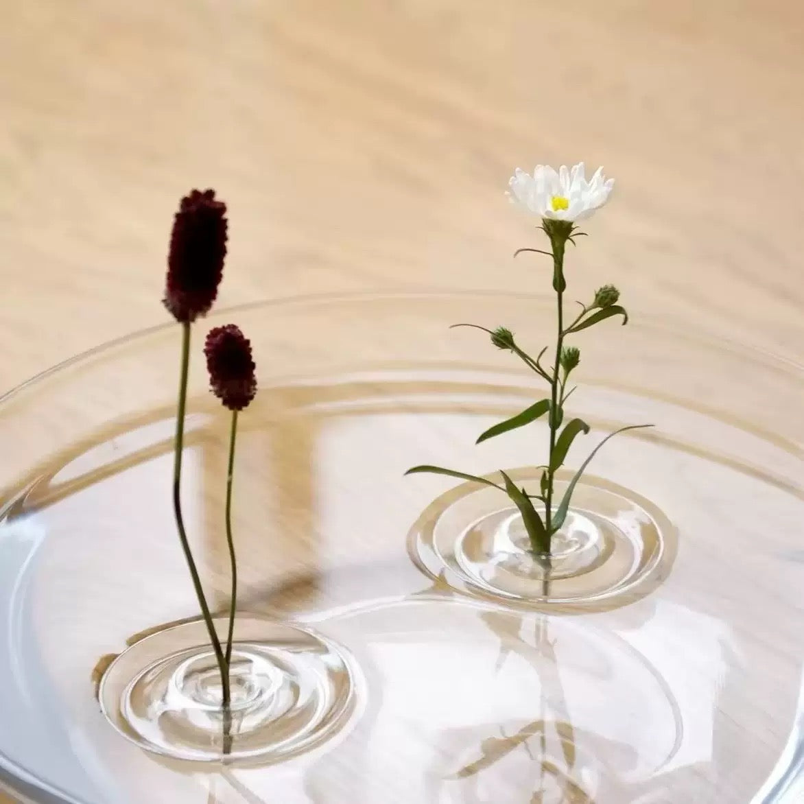 Floating Flower Vase Set (8PCS) – Make Your Flowers Float on Water Like Magic