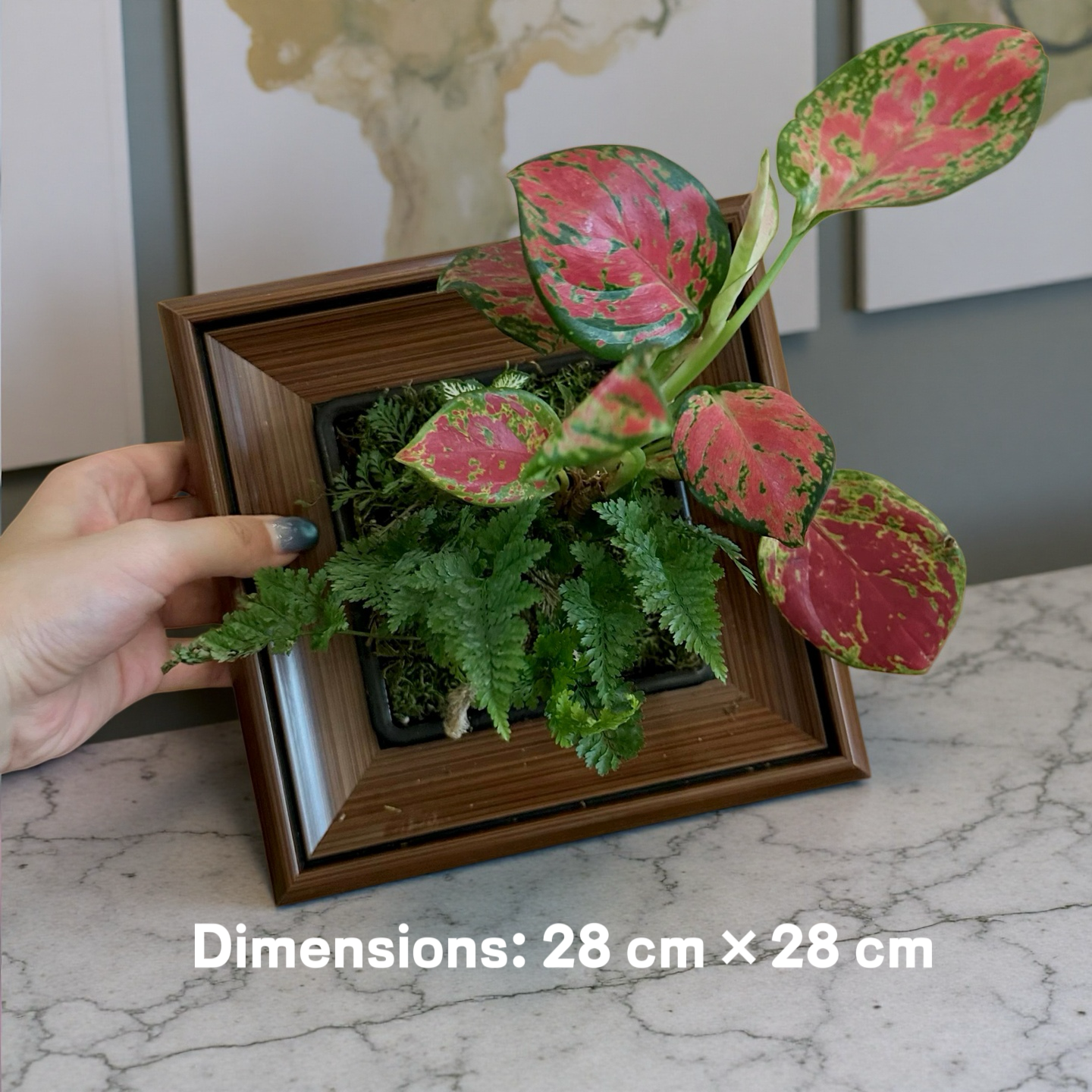 GlowFrame™ – Living Art That Lights Up Your Space（Free desk lamp）Free gift: artificial staghorn fern