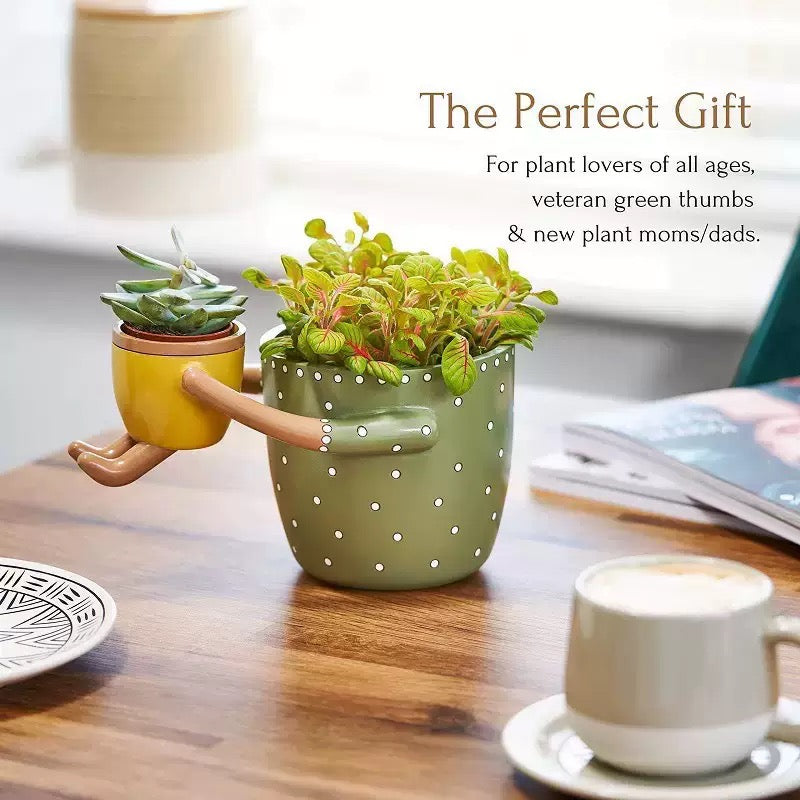 Parent-Child Flower Pots