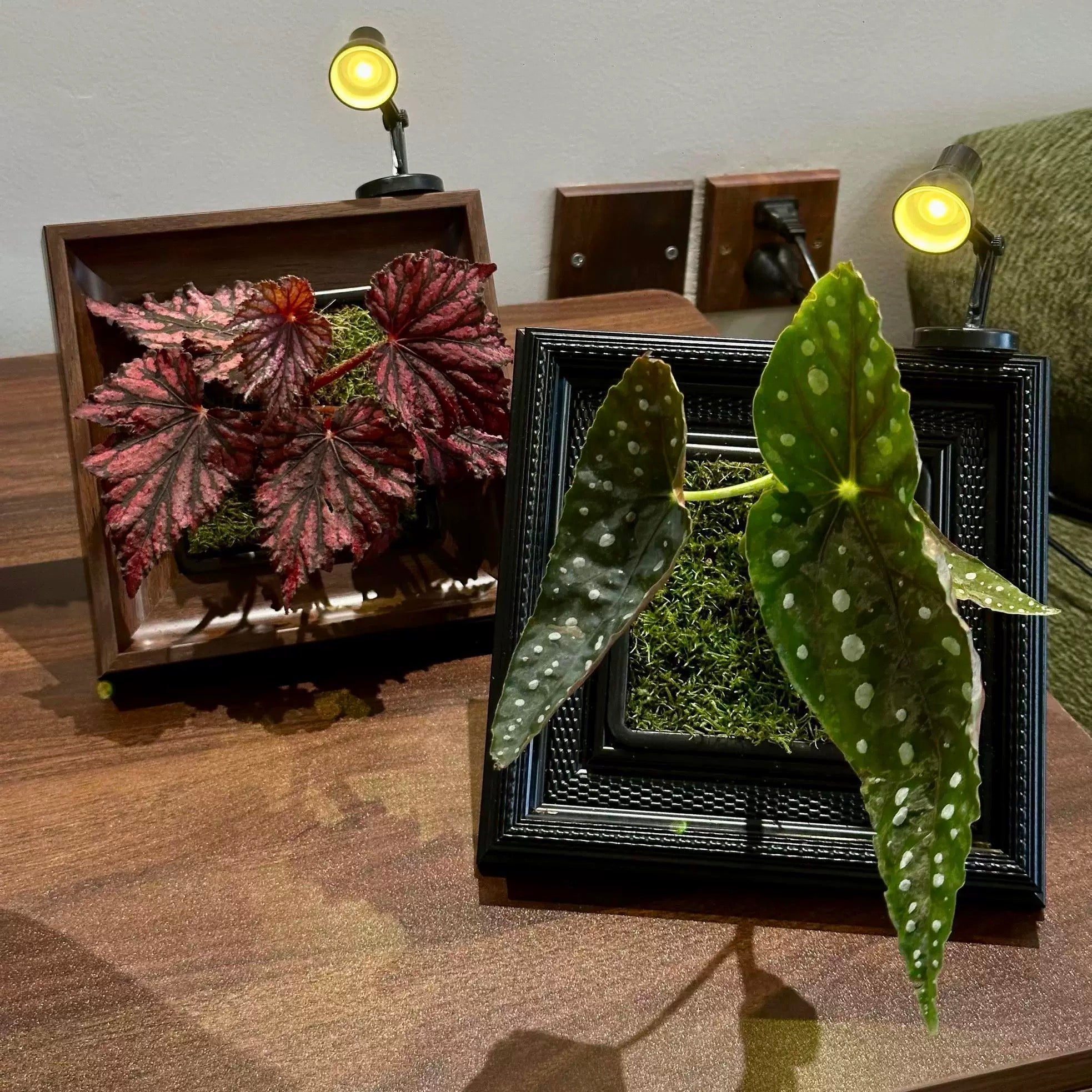 Oil Painting Picture Frame and Flower Pot with a Free Night Light