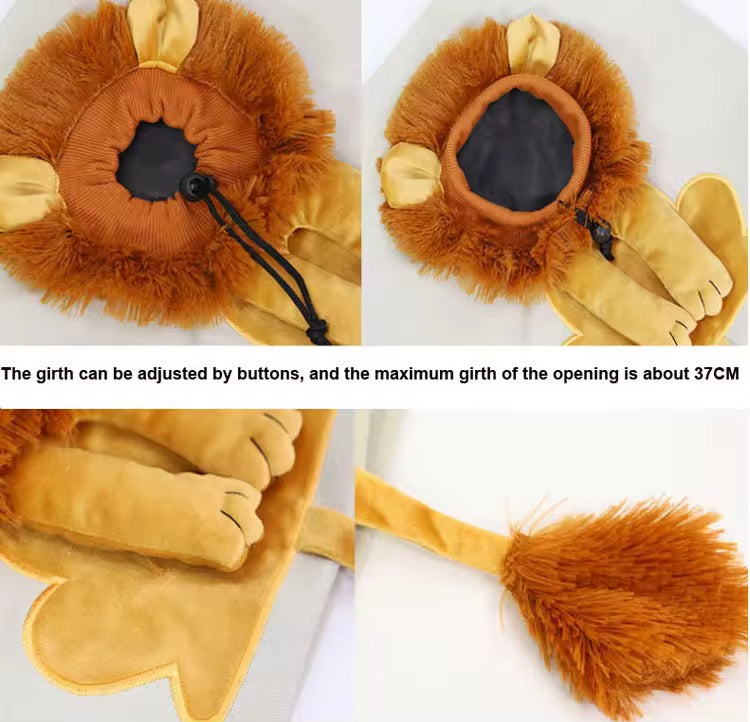 Kitten Outing Backpack