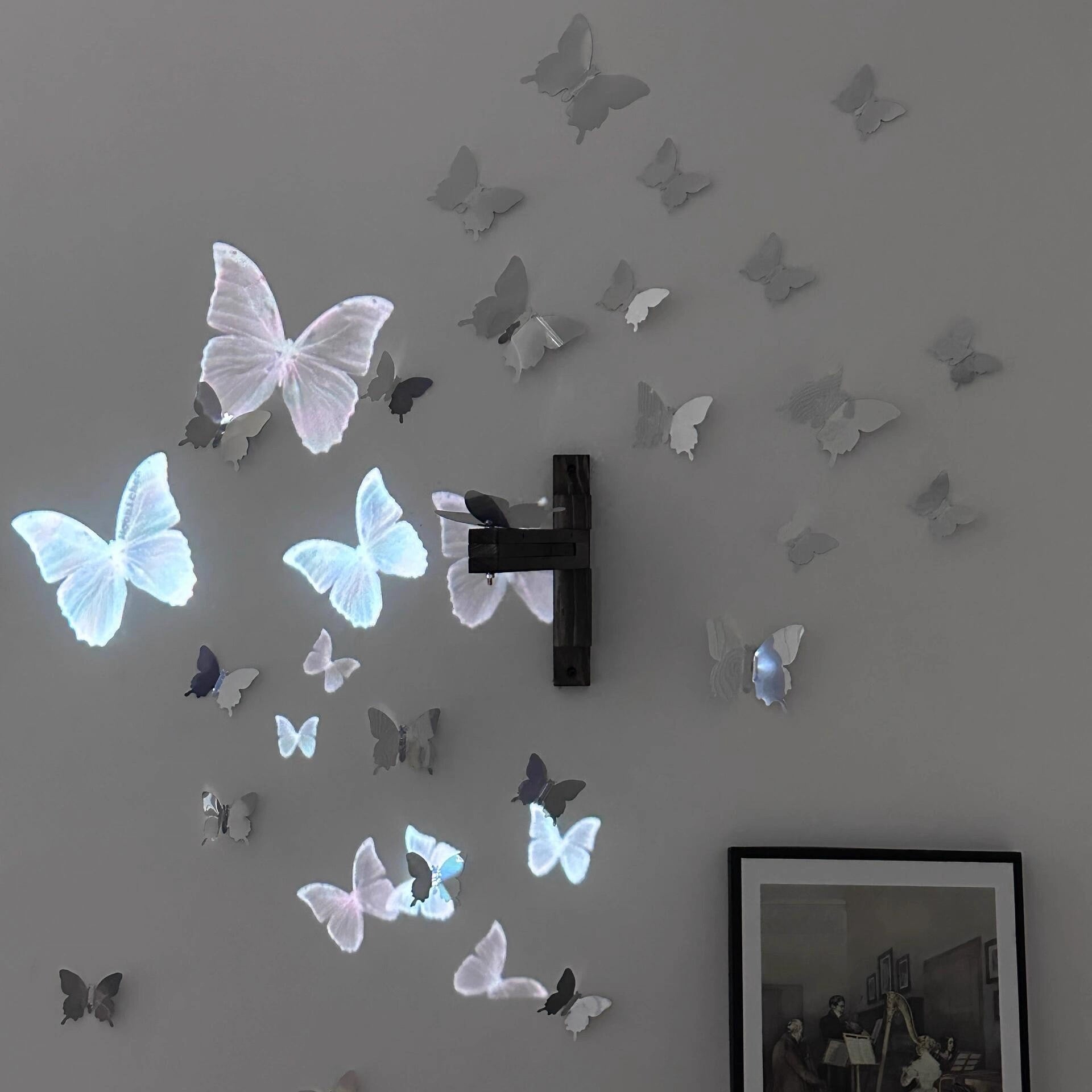 Light & Shadow Butterfly Decorative Wall Stickers (Pack of 24) Different Sizes
 Free 12pcs