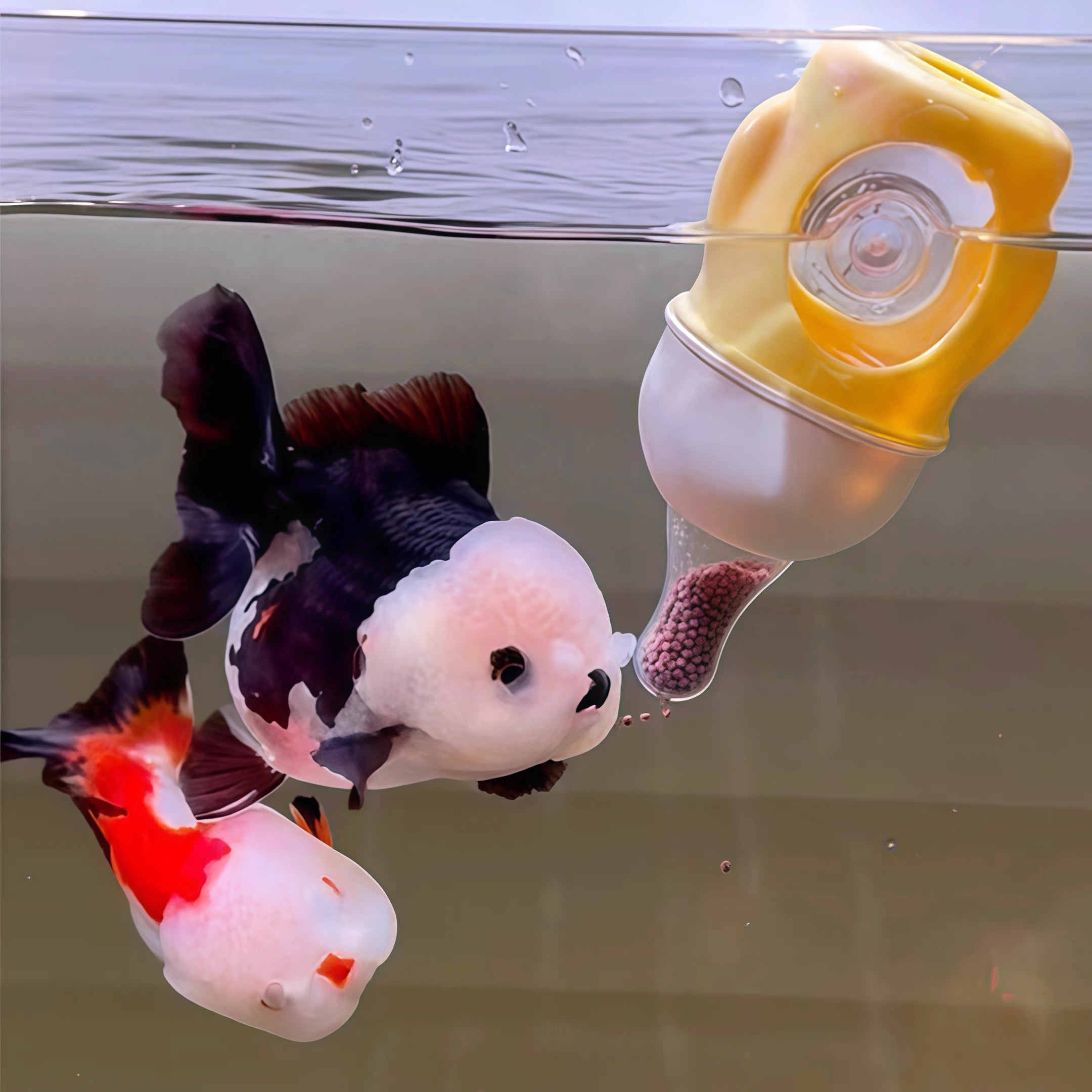 Goldfish Pacifier Automatic Feeder(Two replacement nipples included as a bonus)