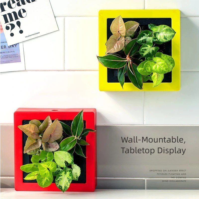 DIY Self-Watering Plant Photo Frame Planter | Creative Memory Plant Pot Home Decor