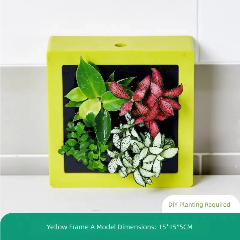 DIY Self-Watering Plant Photo Frame Planter | Creative Memory Plant Pot Home Decor