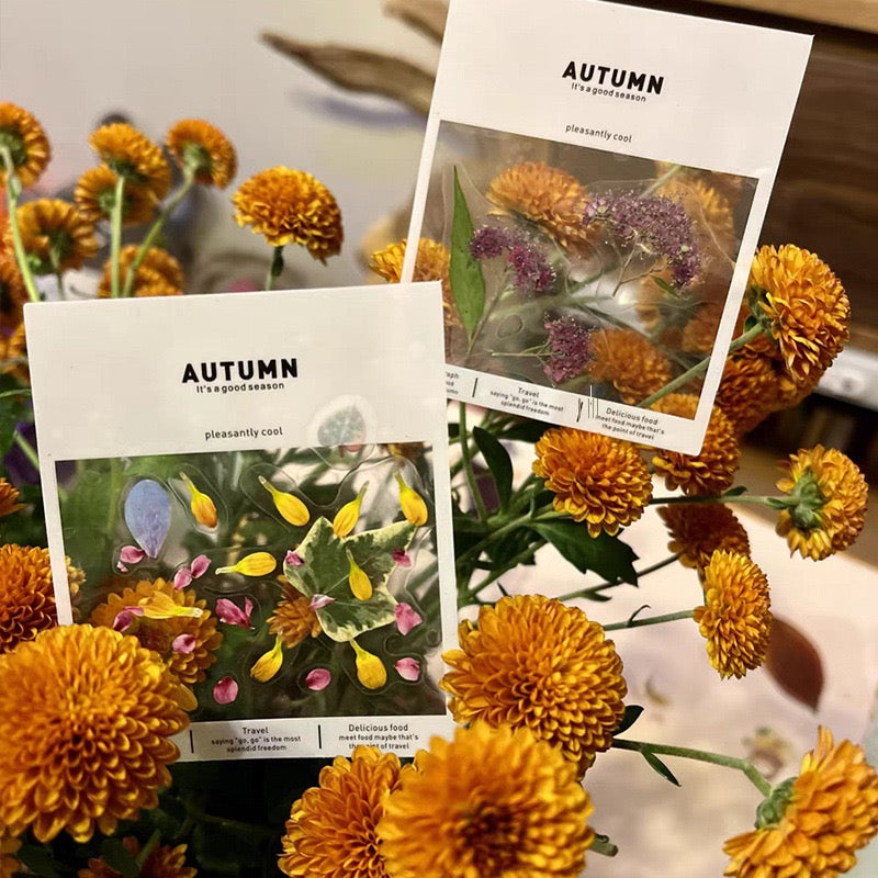 Photo frames bookmarks dried flowers storage stickers a pack of 30 sheets 6 series 30 different styles（buy one get one free）